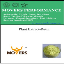 Plant Extract NF Grade Rutin